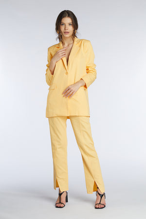 CITRON pants